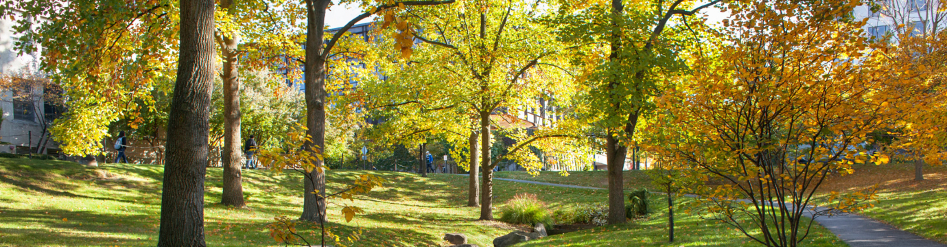 An image of the grounds of Cornell University in early autumn, showing vivid fall colors.