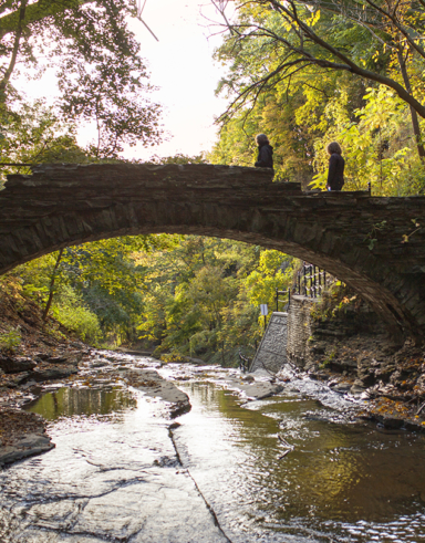 gorge with a stone bridge